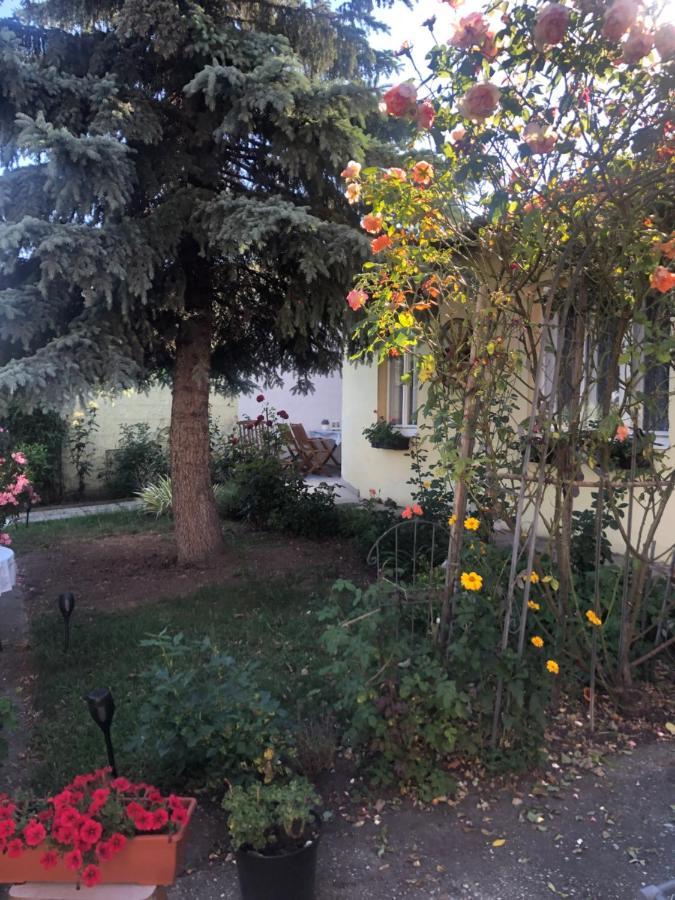 Das Kleine Haus Breitenbrunn  Eksteriør bilde